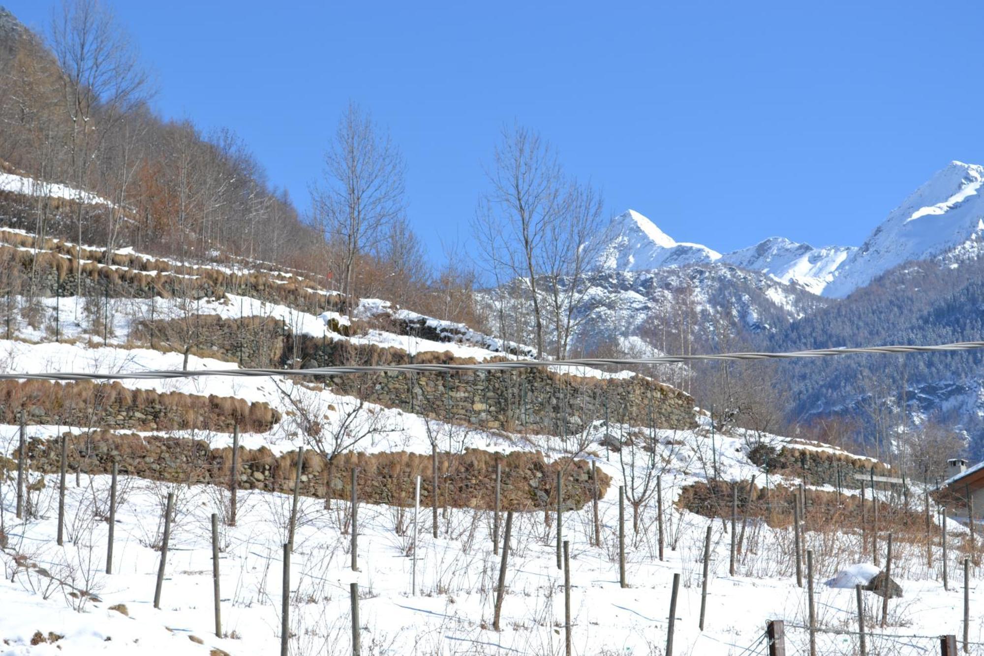 Casa Vacanza La Rocca Chiesa in Valmalenco Buitenkant foto